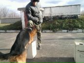 Саня Власенко фотография #35 (источник - https://vk.com/id72582244)