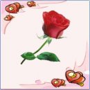 Інна Петльована фотография #2 (источник - https://vk.com/id106113397)