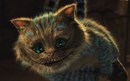 Фотография Аверьяновой Екатерины