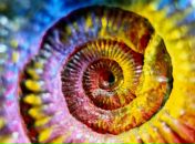 Фотография Бондаренко Екатерины