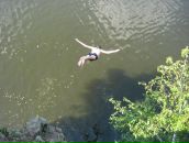 Олександр Супрун фотография #26 (источник - https://vk.com/id75168002)