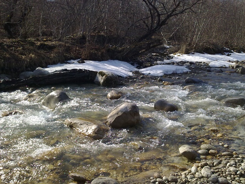 Вадим Плотников фотография #5