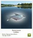 Євген Мішустін фотография #16 (источник - https://vk.com/id20056123)