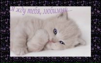 Фотография Мальковой Кати