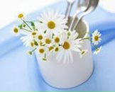 Фотография Казанцевой Ольги