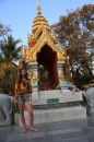Елена Нарицына фотография #42 (источник - https://vk.com/id5787835)