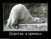 Фотография Вдовина Анна