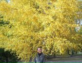 Фотография Боровых Анастасии