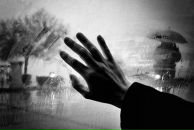 Фотография Fox Little