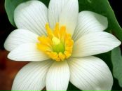 Фотография Куличкиной Натальи