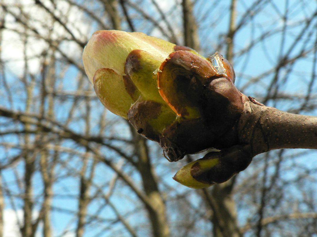 Оля Пугачева фотография #14