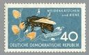 Братство Бджолярів фотография #49 (источник - https://vk.com/id131236971)