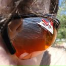 Фотография Максимова Дмитрия