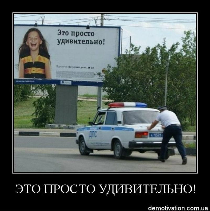 Анатолий Симоненко фотография #33