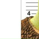 Андрій Сеньків фотография #42 (источник - https://vk.com/id125592035)