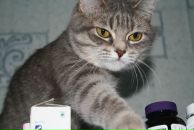 Фотография Смирновой Алены