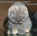 Діма Райх фотография #15 (источник - https://vk.com/id400347504)