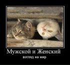 Олексій Іванчен фотография #17 (источник - https://vk.com/id74238157)