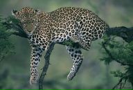 Фотография Эн Милы