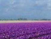 Аня Хасанова фотография #14 (источник - https://vk.com/id231013)