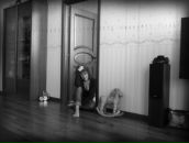 Фотография Маркович Анны