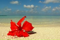 Фотография Антиповой Ольги