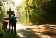 Фотография Султанова Гоши