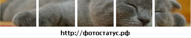 Мурад Карабоев фотография #5 (источник - https://vk.com/id16632107)