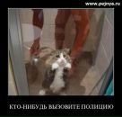 Фотография Астафьева Ильи