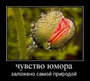 Таня Бігун фотография #25 (источник - https://vk.com/id69562567)