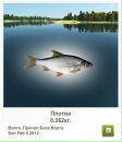 Віктор Камлук фотография #26 (источник - https://vk.com/id162080953)