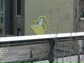 Фотография Астаховой Ольги