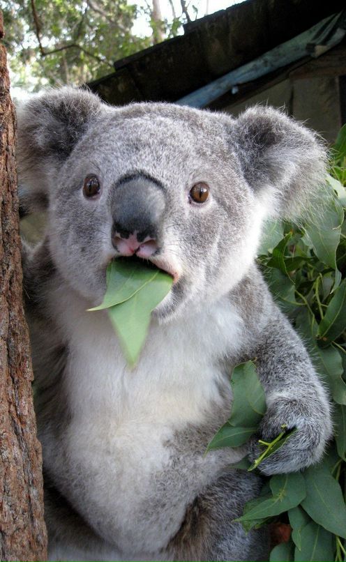 Евгений Кузин фотография #11