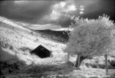 Fallen_impi _impi фотография #19 (источник - https://vk.com/id112621455)