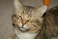 Дмитрий Ященко фотография #20 (источник - https://vk.com/id1092500)