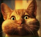 Фотография Брусянина Юля