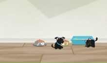 Андрій Дигас фотография #1