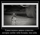 Григорій Білокрилий фотография #2 (источник - https://vk.com/id34694107)