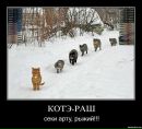 Фотография Шевчика Николая