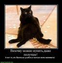 Фотография Дюкаревой Виктории