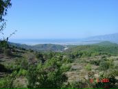 Фотография Гавриш Виктории