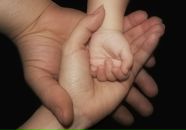 Фотография Малкин Александр