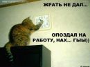 Катерина Тараторкіна фотография #45 (источник - https://vk.com/id29422595)
