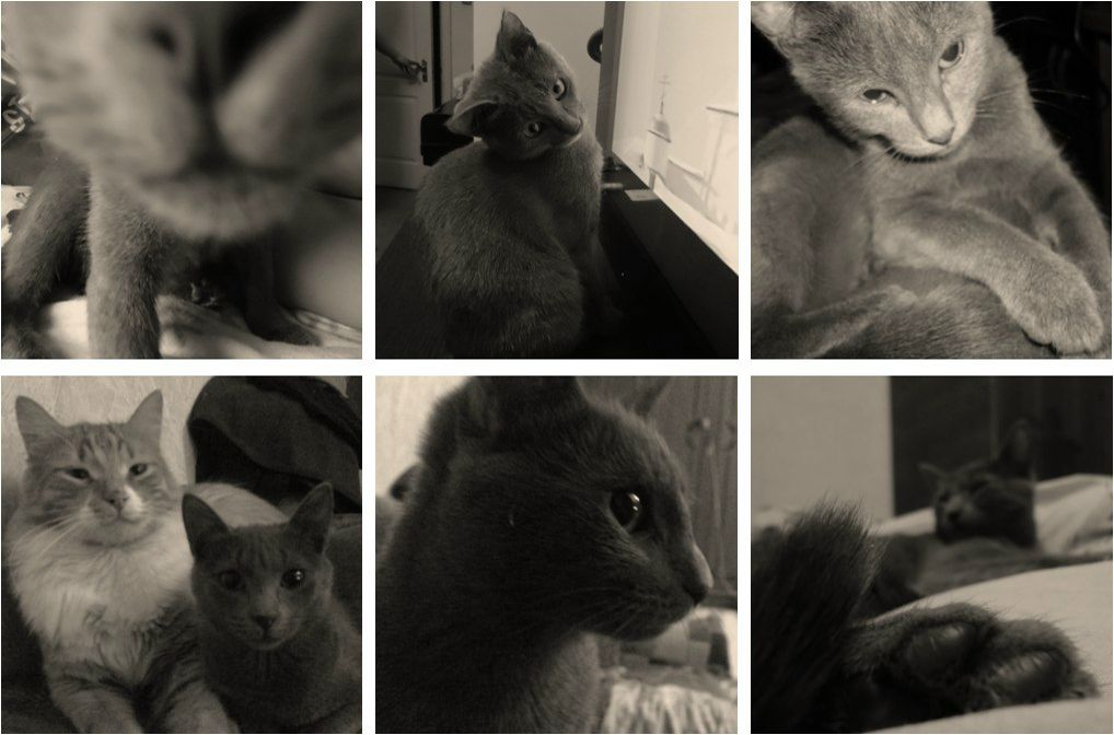 Ирина Якубова фотография #47