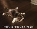 Вікторія Грондзаль фотография #4 (источник - https://vk.com/id135153796)