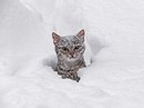 Наталя Андреєва фотография #17 (источник - https://vk.com/id79234652)