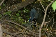 Фотография Падалко Евгений