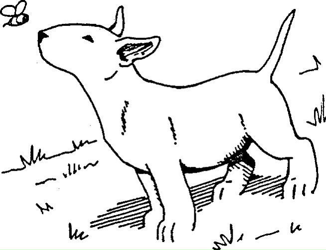 Руслан Руденко фото №42