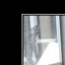 Машенька Ливант фотография #30 (источник - https://vk.com/id122307237)