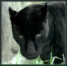 Фотография Лесик Лары